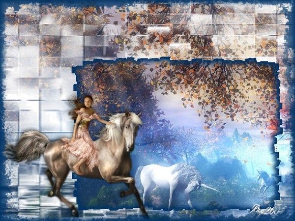 les licornes et la cavalière 