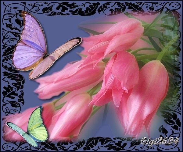 tulipes et papillons