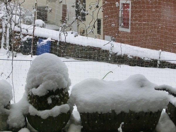 photo prise a 10h15 ce matin 